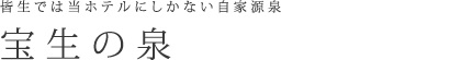 宝生の泉