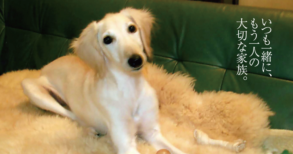 皆生グランドホテル天水